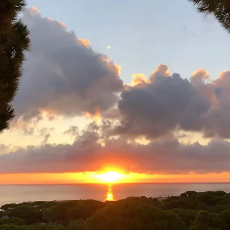 Daire Melis Ii M8 Playa De By Interhome *